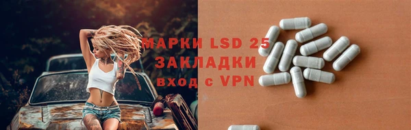 сатива Белокуриха