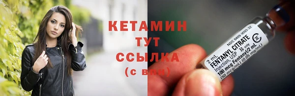 сатива Белокуриха