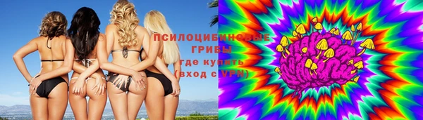 сатива Белокуриха