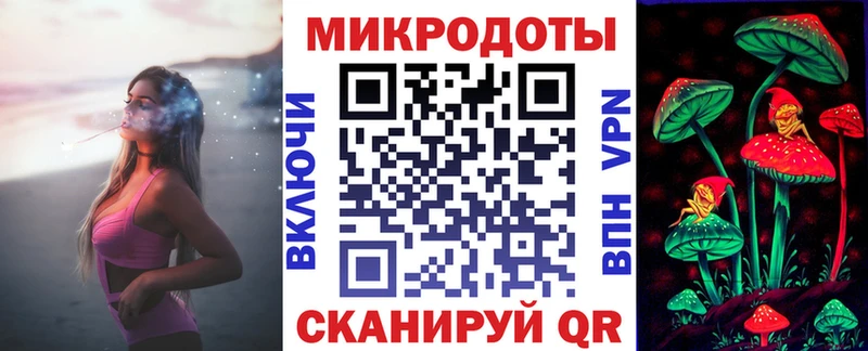 Галлюциногенные грибы Psilocybe  Томск 